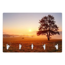 Glas Schlüsselbrett mit 5 Haken | banjado