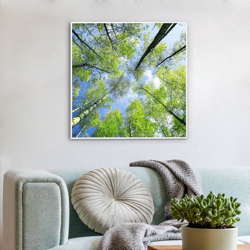 banjado Licht Bild LED Lampe Smart Home Motiv Zwischen Bäumen 3 | banjado